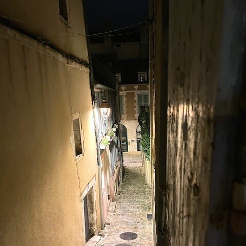 Auxerre (89)